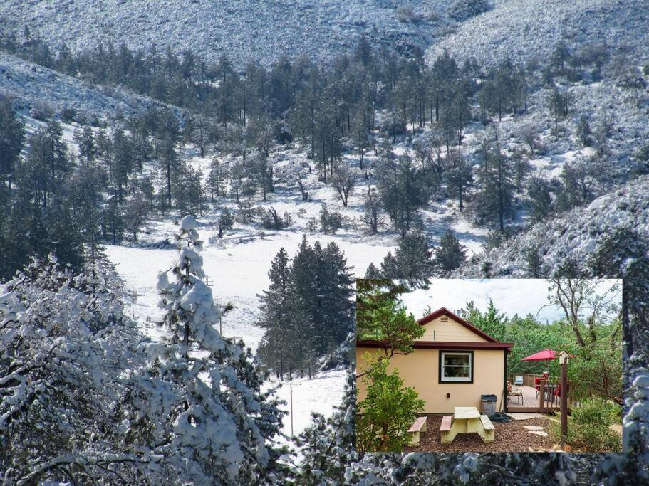 Historical Cabin In Julian Pet'S Okay! Екстер'єр фото